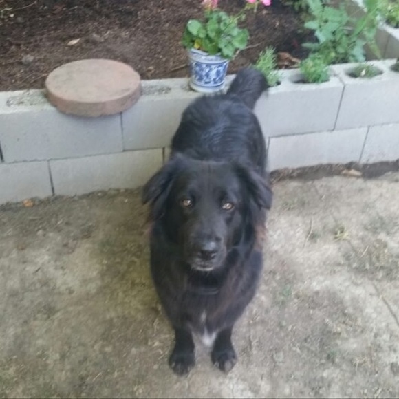 Meet your Posher, Amy - Picture 1 of 1